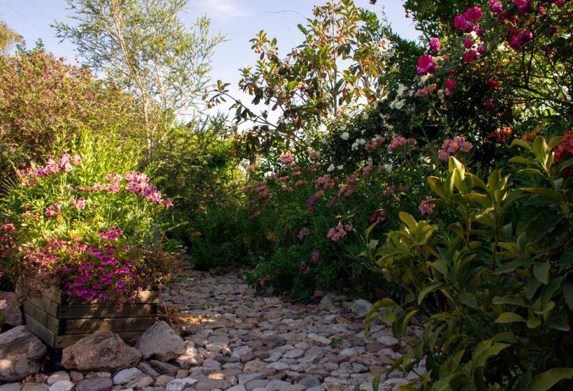 Bed and Breakfast Il Vecchioliveto Di Ornella