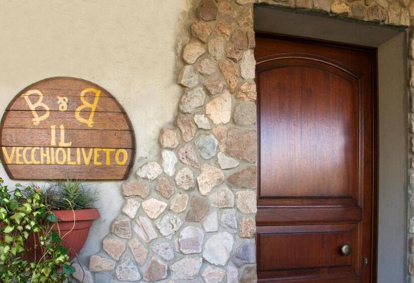 Bed and Breakfast Il Vecchioliveto Di Ornella