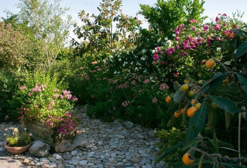 Bed and Breakfast Il Vecchioliveto Di Ornella