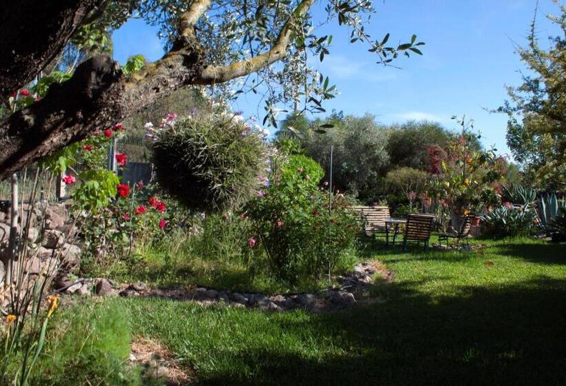 Bed and Breakfast Il Vecchioliveto Di Ornella