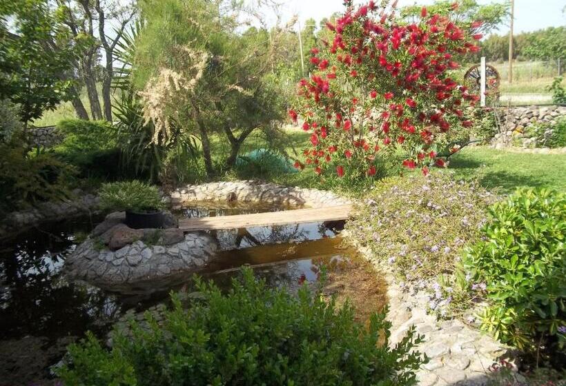 Bed and Breakfast Il Vecchioliveto Di Ornella