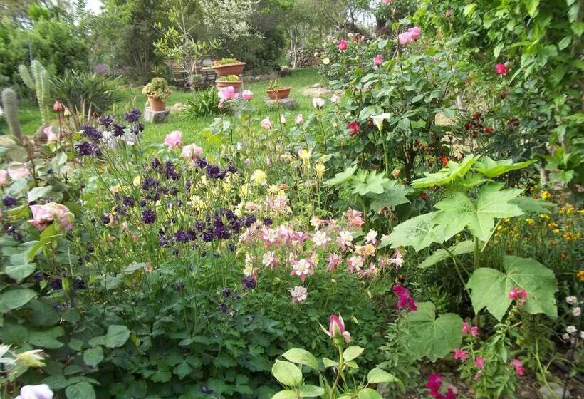 Bed and Breakfast Il Vecchioliveto Di Ornella