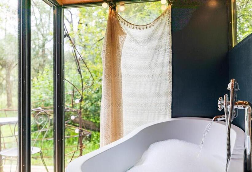 Bed and Breakfast Les Cabanes Des Marais