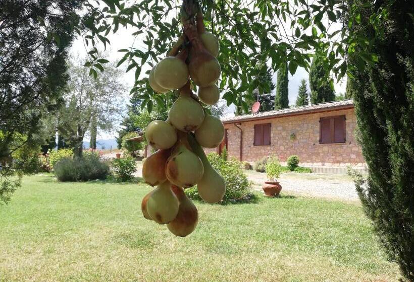 فندق Agriturismo Collomici