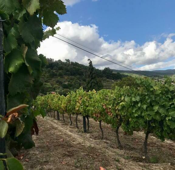 هتل Private Douro  Quinta Das Susandas