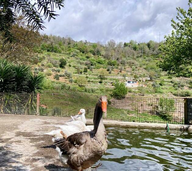 هتل Private Douro  Quinta Das Susandas