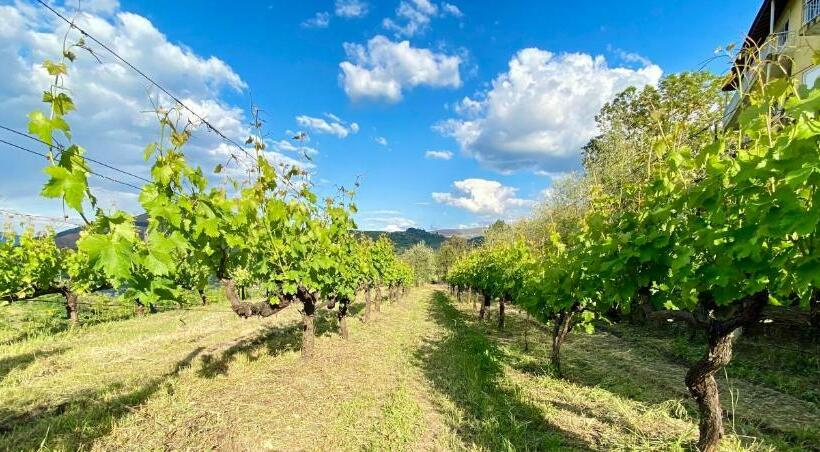 هتل Private Douro  Quinta Das Susandas