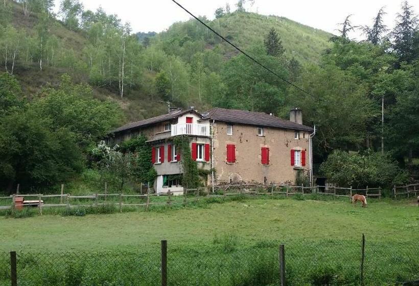 膳宿费 Les Cèdres Bleus De Joany