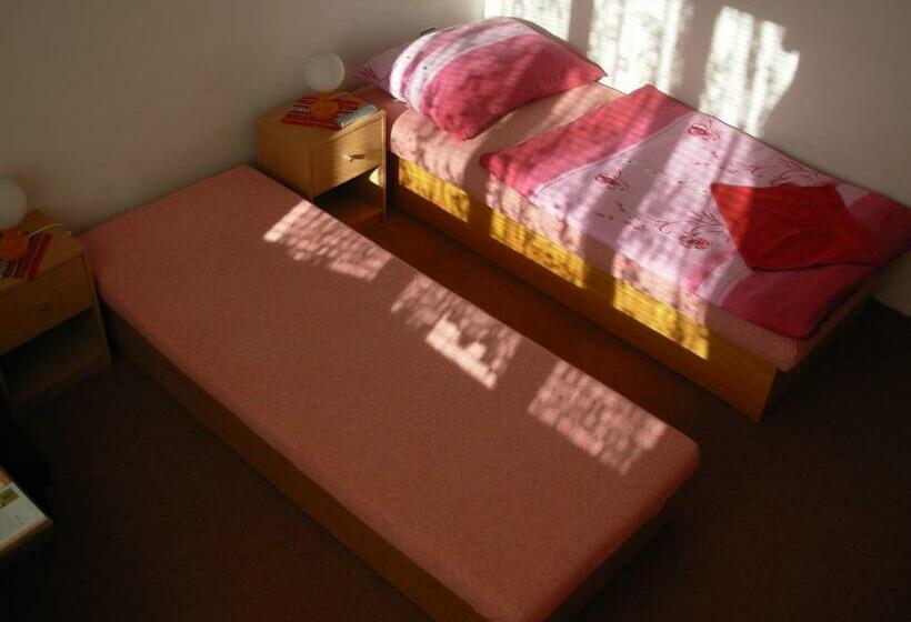 بنسيون Penzion Hlinkova