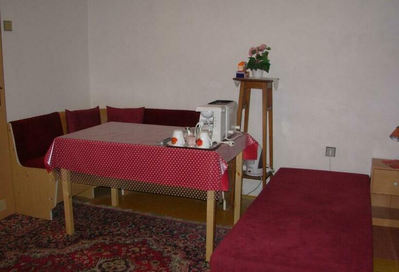 بنسيون Penzion Hlinkova