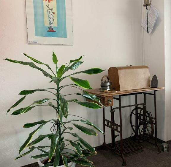 پانسیون Penzion Na Solné Stezce