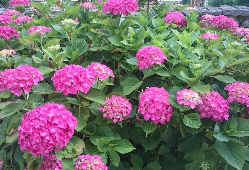 민박 Domaine De Paguy