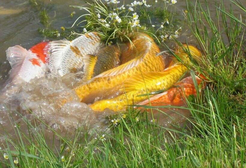 مبيت وإفطار La Dame Blanche