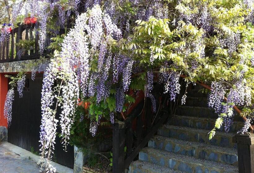 بنسيون Agroturismo Izarre