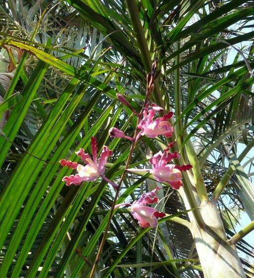 بنسيون Casa De La Luz   Guesthouse