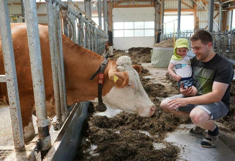 ペンション Familienbauernhof Salmanner