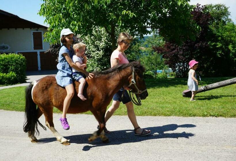 ペンション Familienbauernhof Salmanner