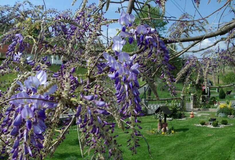 ペンション Gästehaus Anna