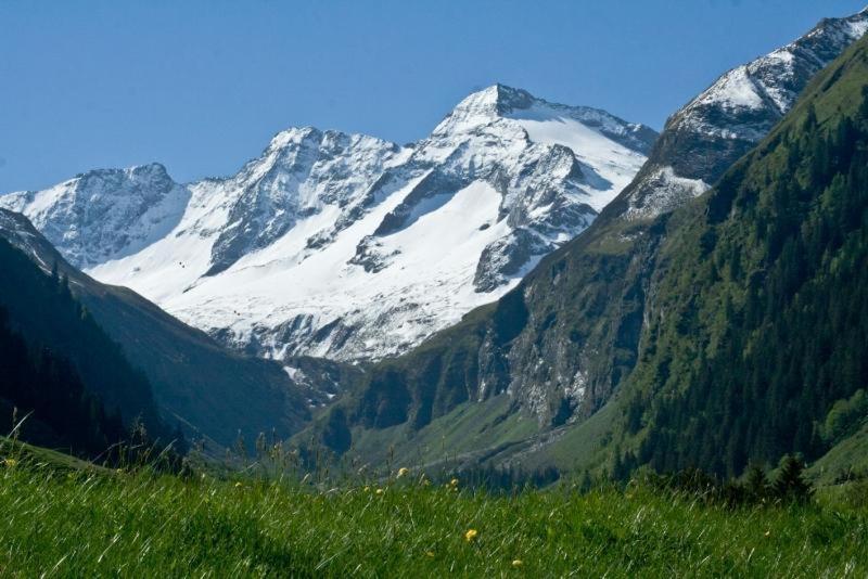 بنسيون Gästehaus Hochwimmer