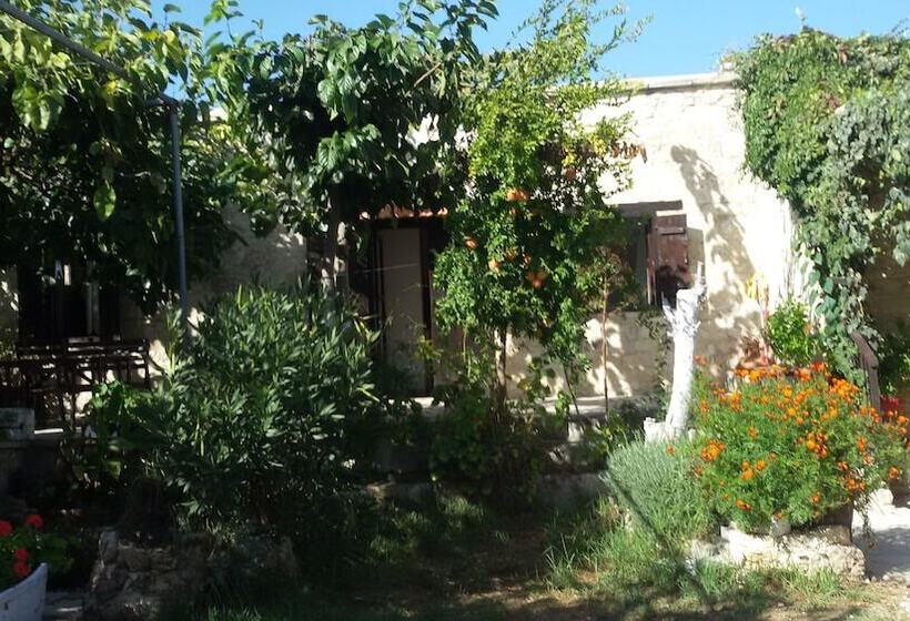 הוסטל Loxandra Inn