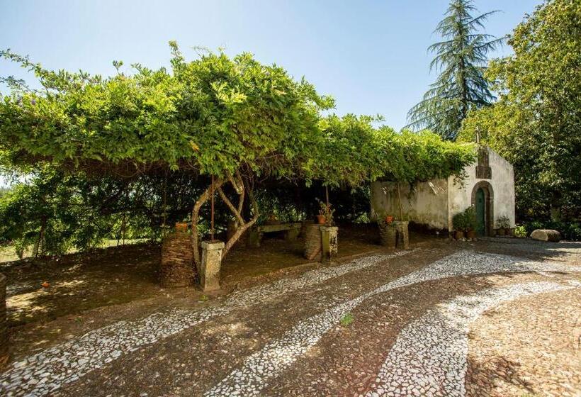 تختخواب و صبحانه Casa De Sao Caetano De Viseu