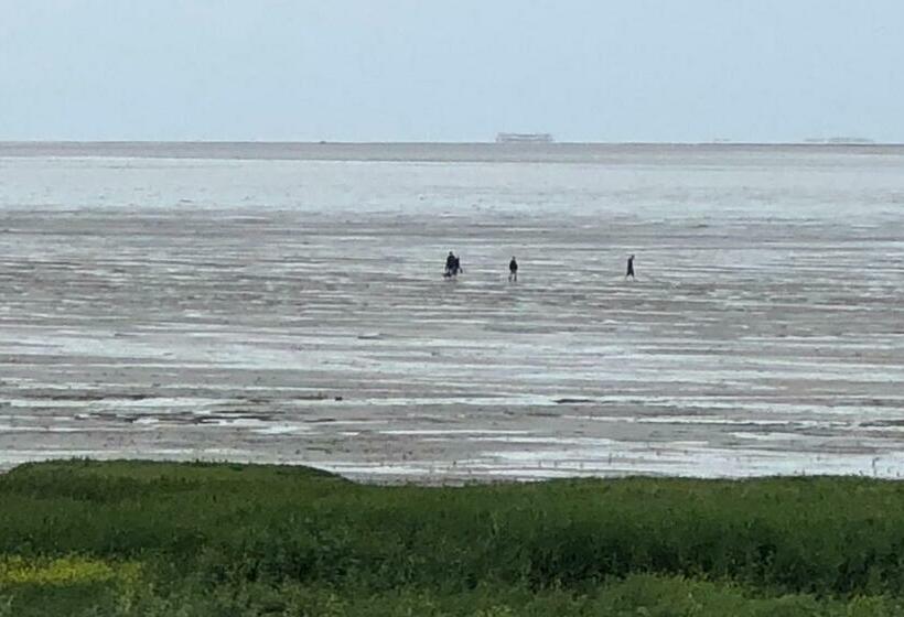 צימר Het Huis Van De Wadden