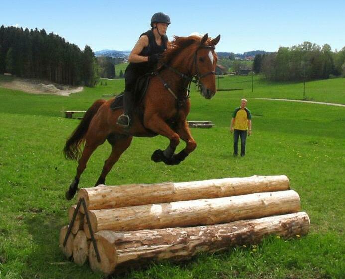ホテル Reiterhof Stöglehner