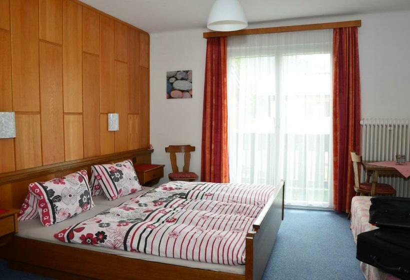 פנסיון Haus Dachstein Schnitzer