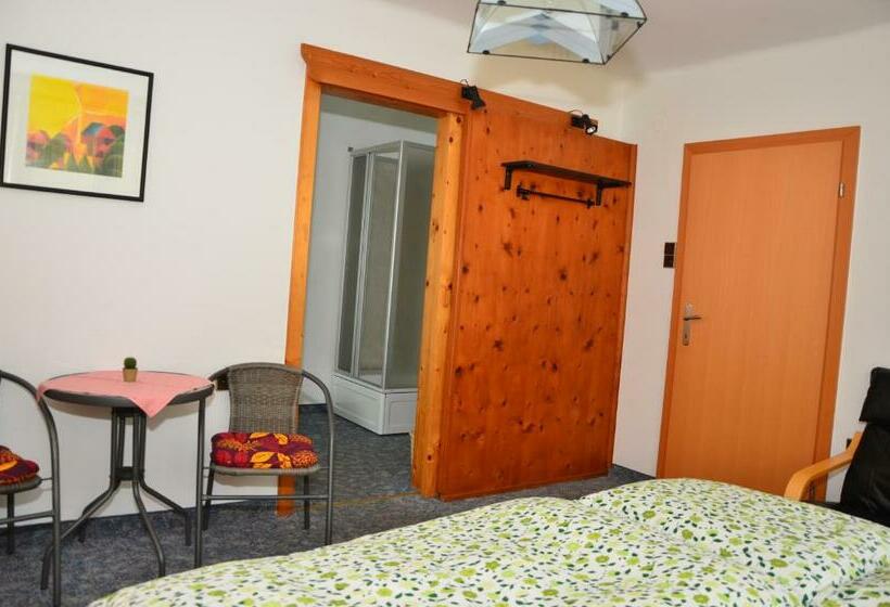 פנסיון Haus Dachstein Schnitzer