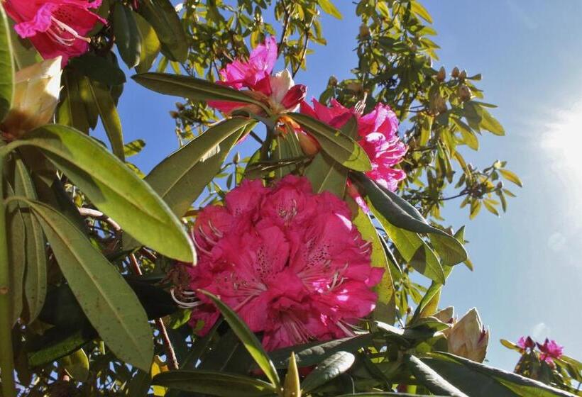 بنسيون Quinta Das Quintas & Spa