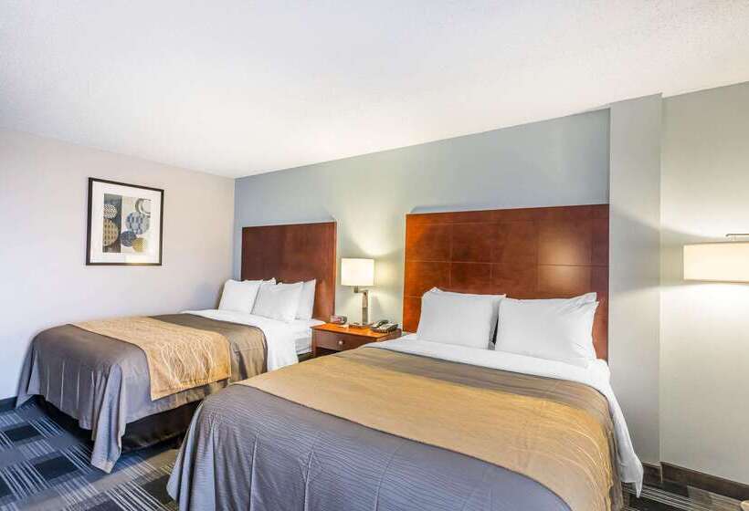 هتل Comfort Inn Sw Omaha I80