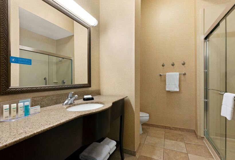 هتل Hampton Inn & Suites Atlanta Airport West/camp Creek Pkwy