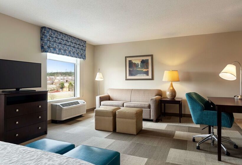 هتل Hampton Inn & Suites Atlanta Airport West/camp Creek Pkwy