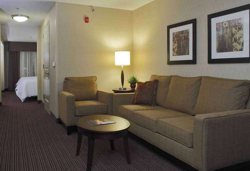 هتل Hilton Garden Inn Clovis