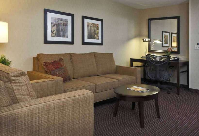 هتل Hilton Garden Inn Clovis