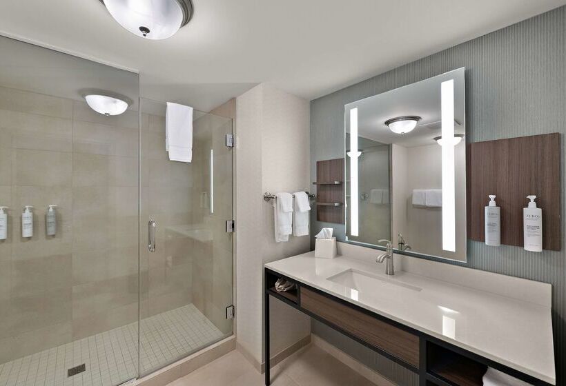 هتل Hilton Garden Inn Omaha East/council Bluffs