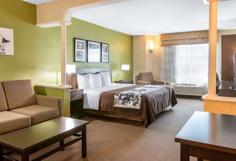 酒店 Sleep Inn & Suites