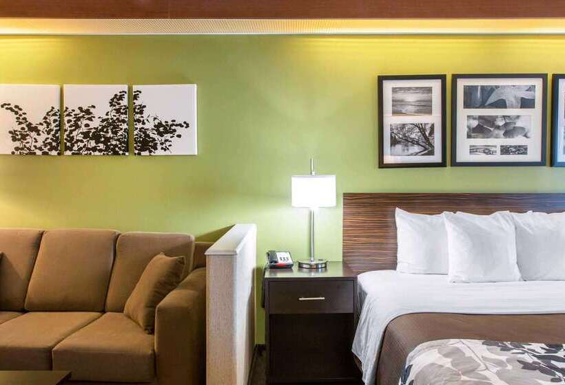 酒店 Sleep Inn & Suites