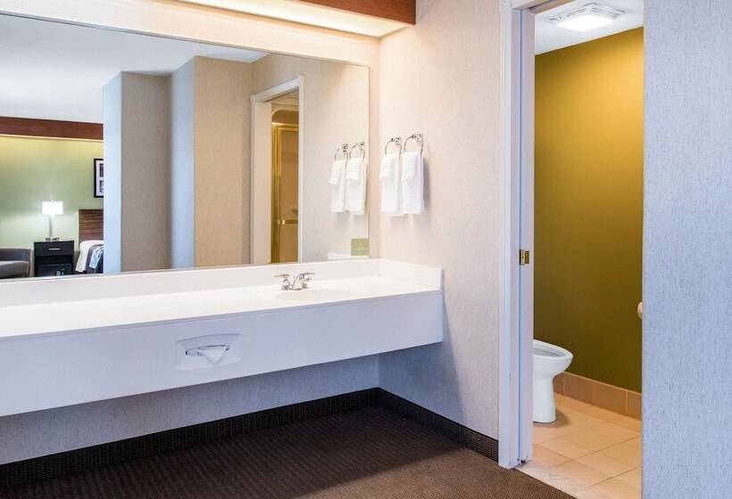 酒店 Sleep Inn & Suites