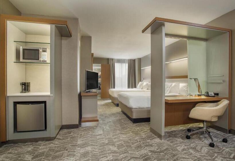 هتل Springhill Suites Louisville Downtown