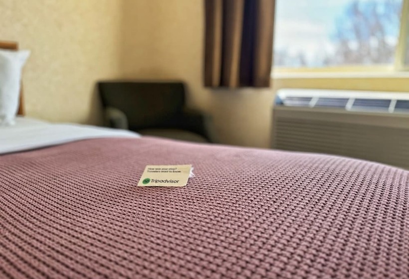 Отель Stay Wise Inn Cedaredge