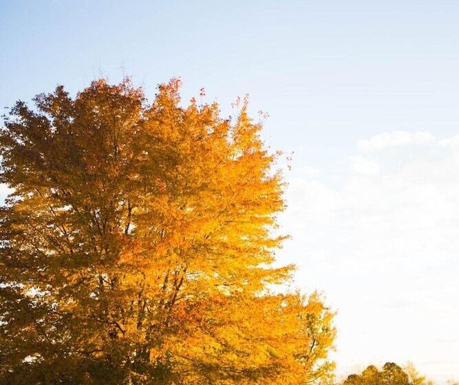 فندق The Ridges Resort On Lake Chatuge