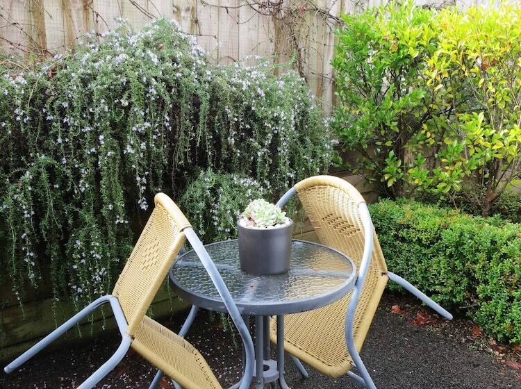 בית מלון כפרי Asure Ascot Motor Inn