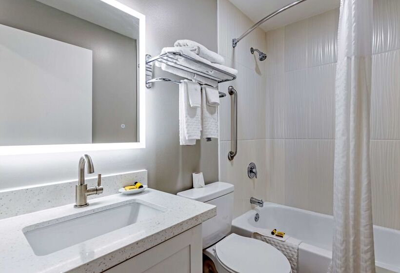 בית מלון כפרי Best Western Plus Edinburg Inn & Suites