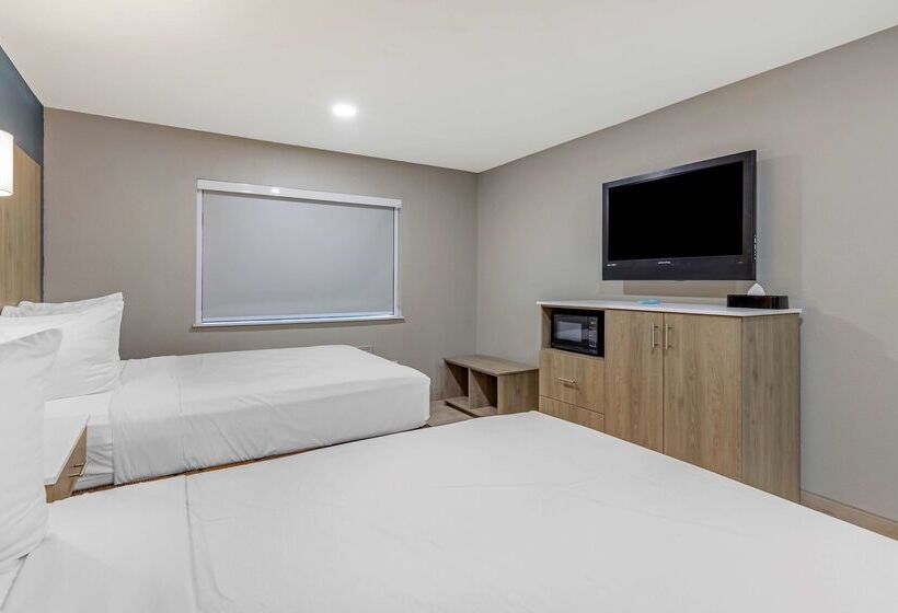 בית מלון כפרי Best Western Plus Edinburg Inn & Suites