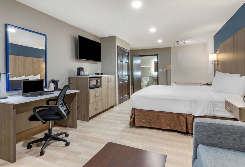 בית מלון כפרי Best Western Plus Edinburg Inn & Suites