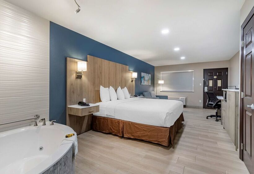 בית מלון כפרי Best Western Plus Edinburg Inn & Suites