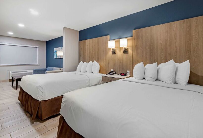 בית מלון כפרי Best Western Plus Edinburg Inn & Suites