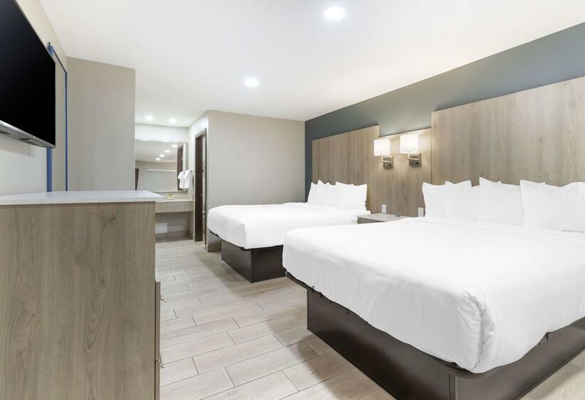בית מלון כפרי Best Western Plus Edinburg Inn & Suites