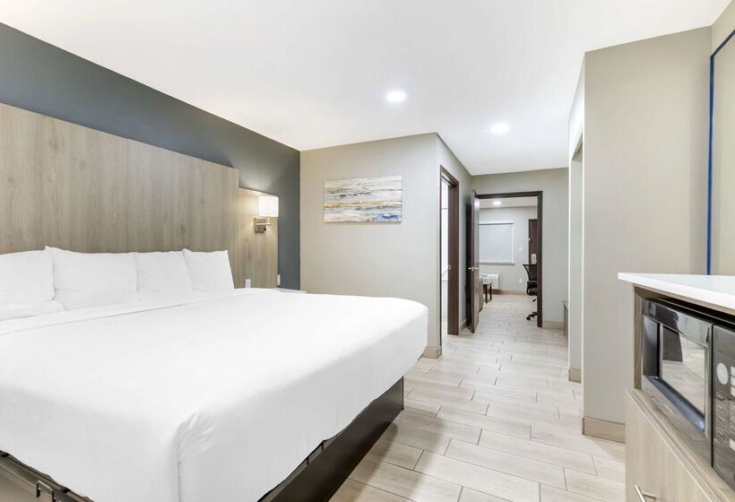 בית מלון כפרי Best Western Plus Edinburg Inn & Suites